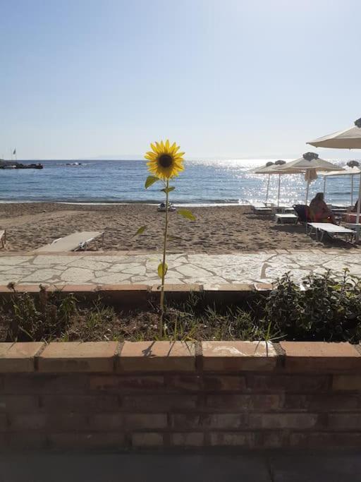 Stoupa Beachside Retro Apartment Exterior foto